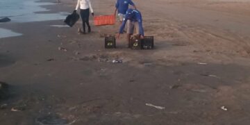 Conibio reporta caso de tortura contra canina hallada en Playa Bagdad