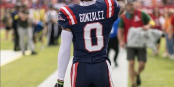 Playoffs NFL: Así se jugará la emocionante Ronda Divisional