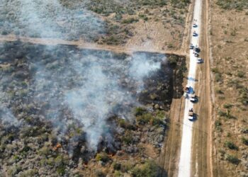 Guardia Estatal activa Plan Tamaulipas por incendio de pastizal en zona rural de Jiménez