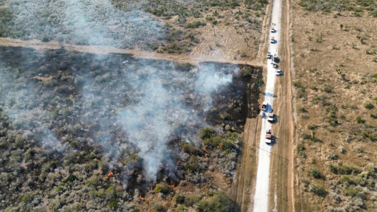 Guardia Estatal activa Plan Tamaulipas por incendio de pastizal en zona rural de Jiménez