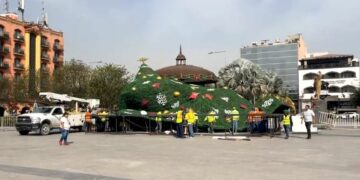 Viento con aires de “Grinch” derriba el pino monumental de Reynosa