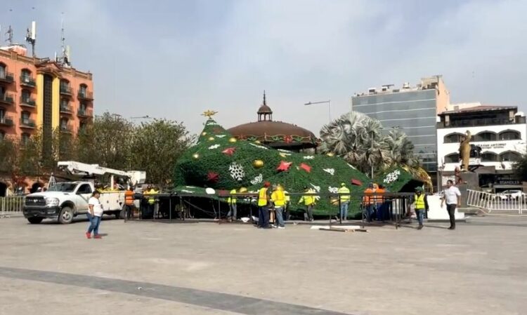 Viento con aires de “Grinch” derriba el pino monumental de Reynosa