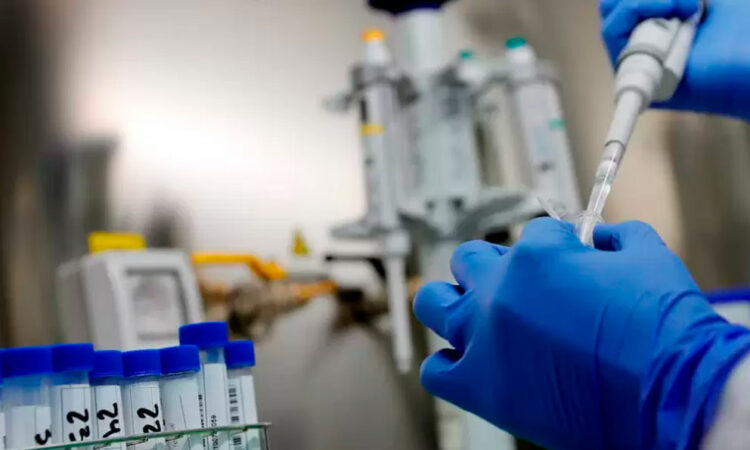 Virus Nipah en Europa: El ECDC evalúa el riesgo tras brote en India