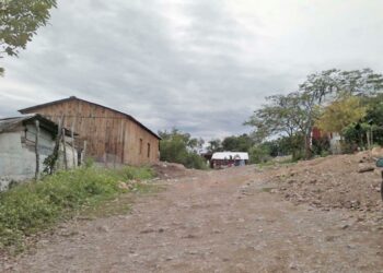 Detectan cuatro nuevos asentamientos irregulares en Ciudad Victoria