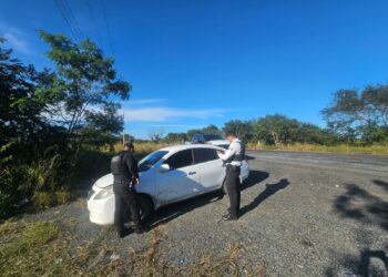 Aseguran en Aldama auto con reporte de robo en Estados Unidos