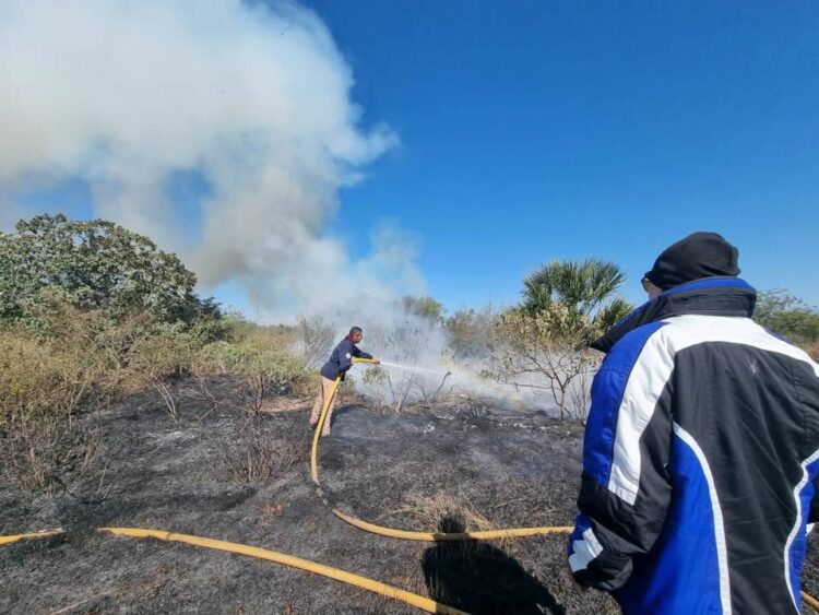 Bomberos controlan incendio de pastizal en carretera Victoria–Matamoros