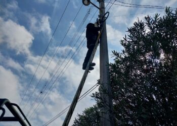 Guardia Estatal asegura cámara clandestina en Padilla
