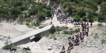 Vigilancia montada refuerza seguridad rural en Tamaulipas, reporta SSPT