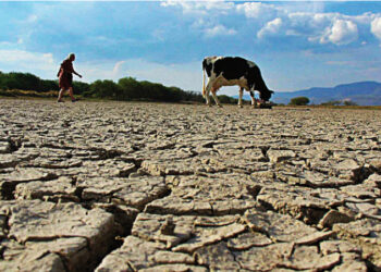 SMN alerta déficit de lluvias y contrastes térmicos en México