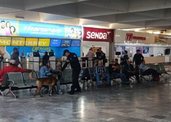Binomios K-9 refuerzan seguridad en la Central de Autobuses de Ciudad Victoria