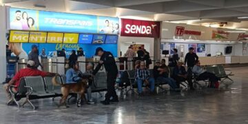 Binomios K-9 refuerzan seguridad en la Central de Autobuses de Ciudad Victoria