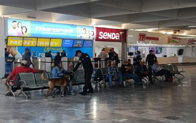 Binomios K-9 refuerzan seguridad en la Central de Autobuses de Ciudad Victoria