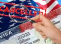 EU cancela más de 100 mil visas durante primer año de Trump