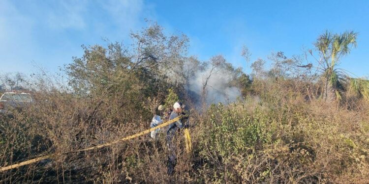 Continúa racha de incendios en zacatales