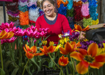 El campo mexicano y floricultores, listos para atender la demanda del 14 de febrero