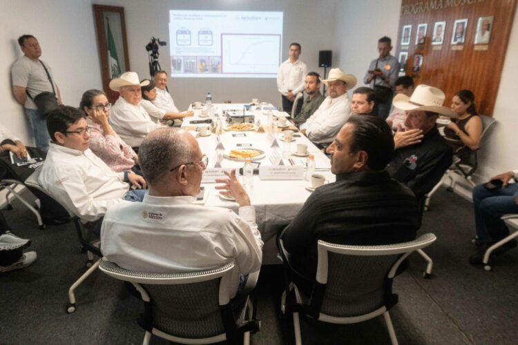 Avance del 55% en planta de moscas estériles de gusano barrenador en Chiapas; operará en junio