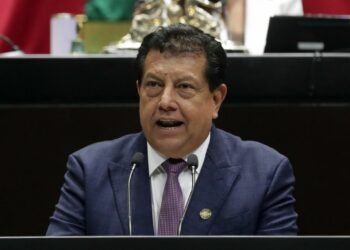 Plantea Diputado del PVEM establecer prisión preventiva por delitos graves contra el medio ambiente