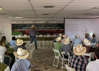 Convocan a los ganaderos tamaulipecos al concurso “Novillo Gordo Tamps. 2026”