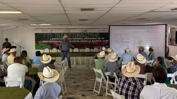 Convocan a los ganaderos tamaulipecos al concurso “Novillo Gordo Tamps. 2026”