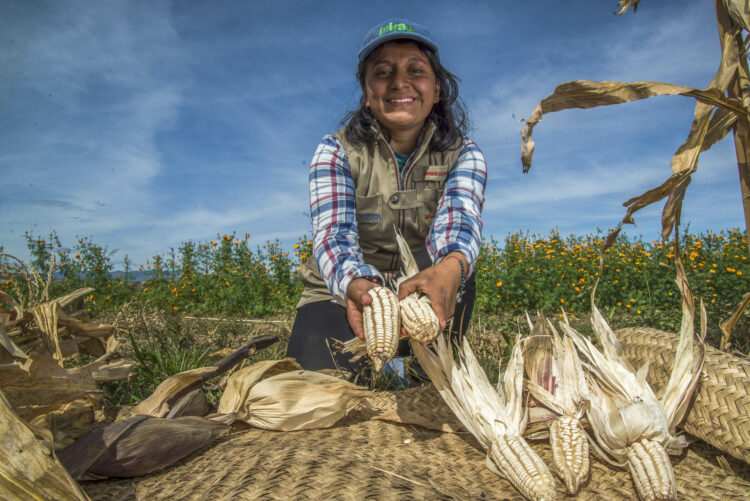 Chapingo transforma la agronomía con especialistas en cambio climático, tecnología y bioalimentos