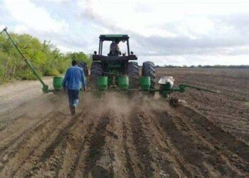 Agricultores de Tamaulipas oran por lluvias ante dura sequía que impacta a 700 mil hectáreas de cultivo