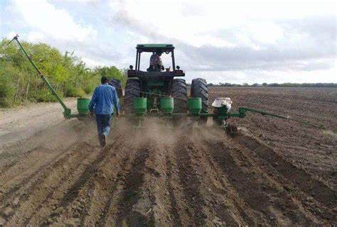 Agricultores de Tamaulipas oran por lluvias ante dura sequía que impacta a 700 mil hectáreas de cultivo