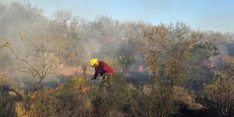 Jornada de siniestros: Reportan pérdida total de tejabán y quema de pastizales