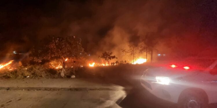 Continúa racha de incendios en zacatales