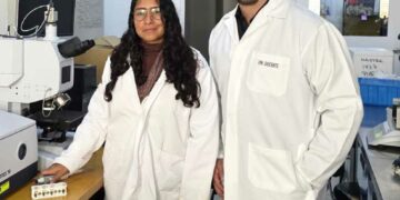 Desarrolla Instituto Politécnico Nacional biosensor que detecta bacteria asociada a gastritis y cáncer de estómago