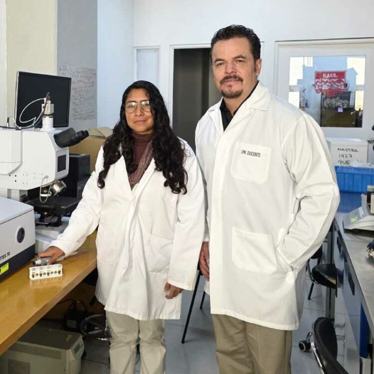 Desarrolla Instituto Politécnico Nacional biosensor que detecta bacteria asociada a gastritis y cáncer de estómago