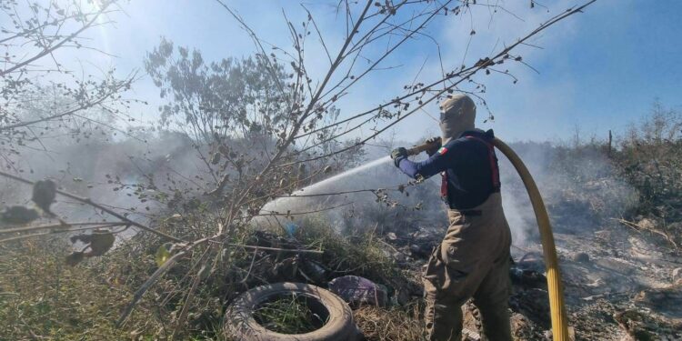 Continúa racha de incendios en zacatales