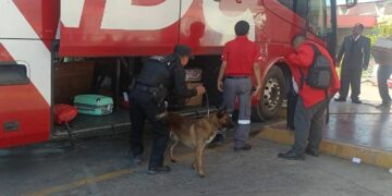 Inspecciona Guardia Estatal paquetería y maletas en Central de Autobuses de Victoria