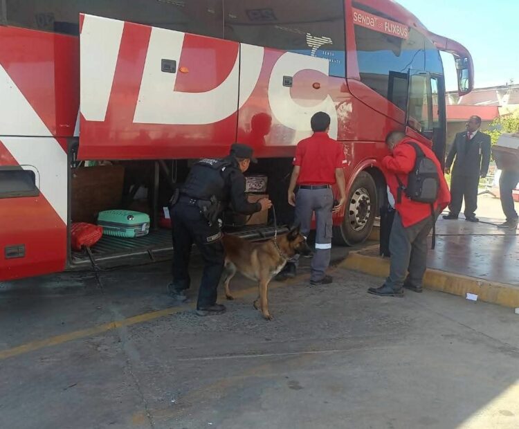 Inspecciona Guardia Estatal paquetería y maletas en Central de Autobuses de Victoria