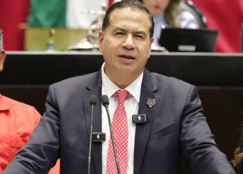 Plantea Diputado que las tiendas absorban costo de bolsas de acarreo y medios de empaque