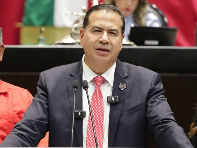 Plantea Diputado que las tiendas absorban costo de bolsas de acarreo y medios de empaque