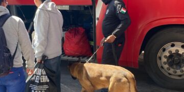 Guardia Estatal refuerza vigilancia con binomio canino en la Central de Autobuses de Ciudad Victoria