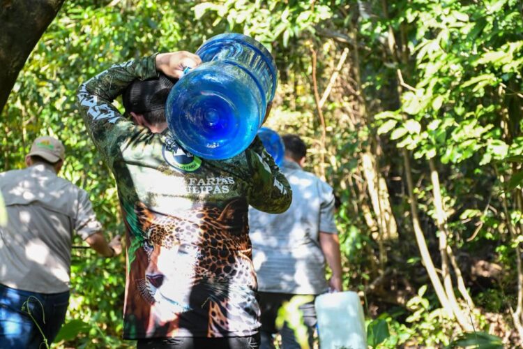 Biósfera El Cielo: Intensifican protección de fauna silvestre en Tamaulipas