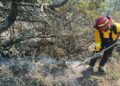 Controlan incendio forestal en Miquihuana: 30% de avance
