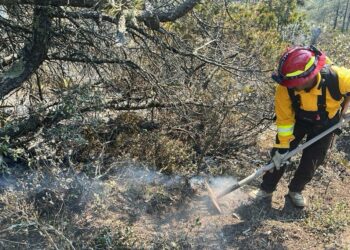 Controlan incendio forestal en Miquihuana: 30% de avance