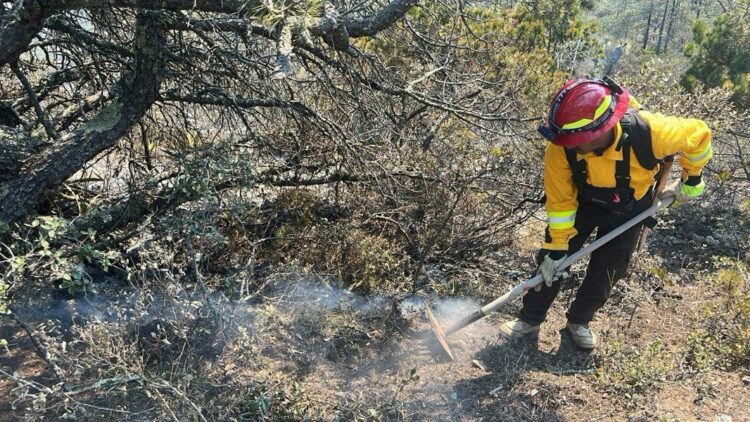 Controlan incendio forestal en Miquihuana: 30% de avance