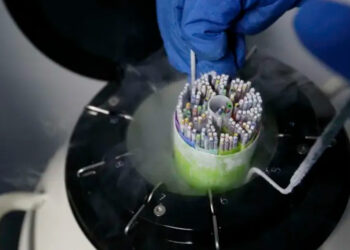 Congelar óvulos: una opción en alza para encontrar el momento de ser madre