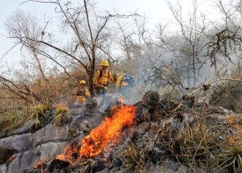 Alerta PC por incendios forestales en Tamaulipas