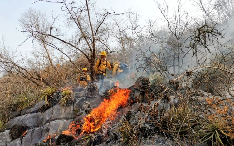 Alerta PC por incendios forestales en Tamaulipas