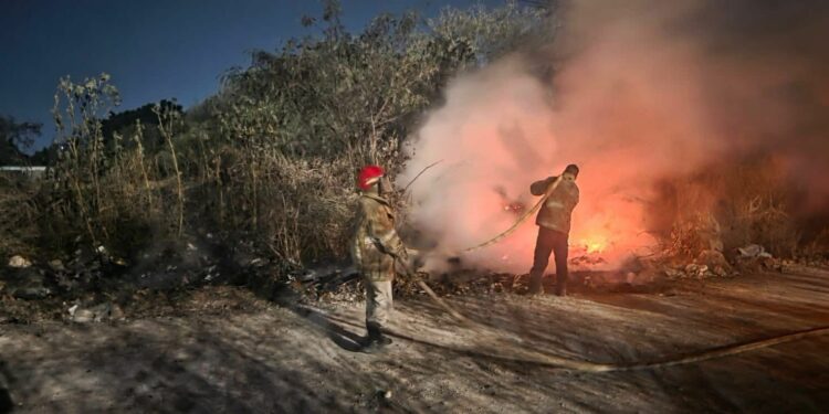Alarma en Victoria: Bomberos sofocan incendios de zacatales