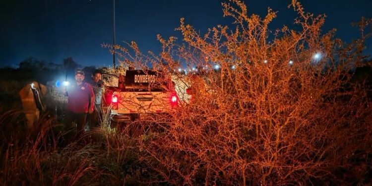 Alarma en Victoria: Bomberos sofocan incendios de zacatales