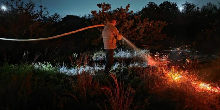 Alarma en Victoria: Bomberos sofocan incendios de zacatales