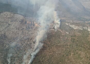Combaten incendio forestal en Miquihuana