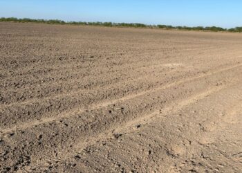 México negocia con agricultores de Tamaulipas nuevo trasvase de agua a Estados Unidos.