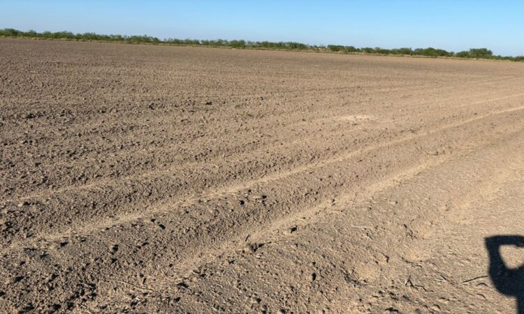 México negocia con agricultores de Tamaulipas nuevo trasvase de agua a Estados Unidos.