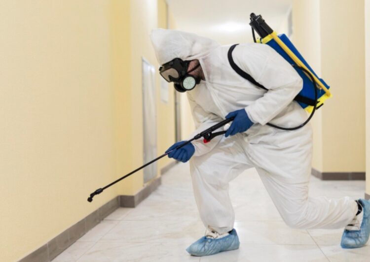 Empresa certificada contra plagas en la hostelería